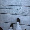 aalyssa456_